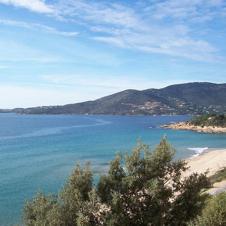 A Rena D'Oru Ξενοδοχείο Sagone  Εξωτερικό φωτογραφία